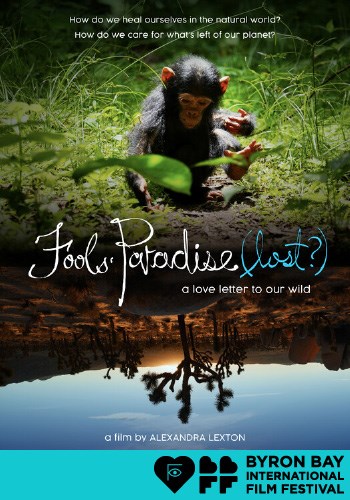 BBFF25 Fools Paradise (Lost?)